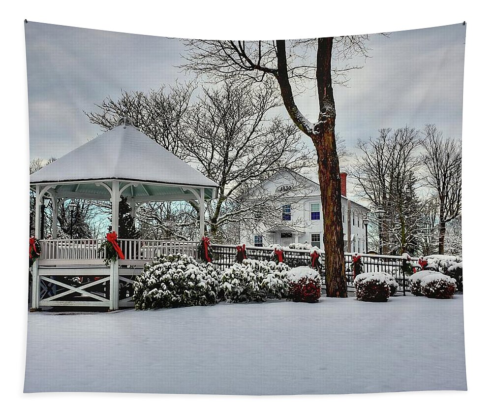 Shrewsbury Tapestry featuring the photograph Shrewsbury Town Common covered in snow by Monika Salvan