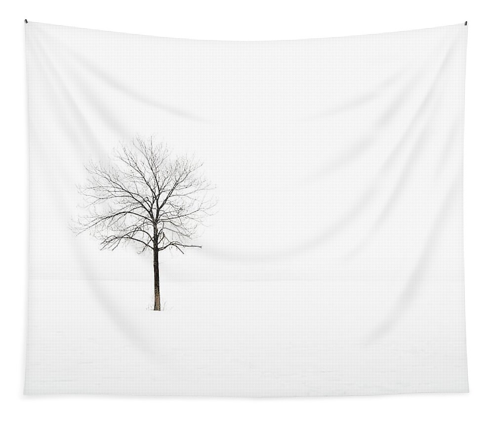 Tree Tapestry featuring the photograph Silence by Scott Norris