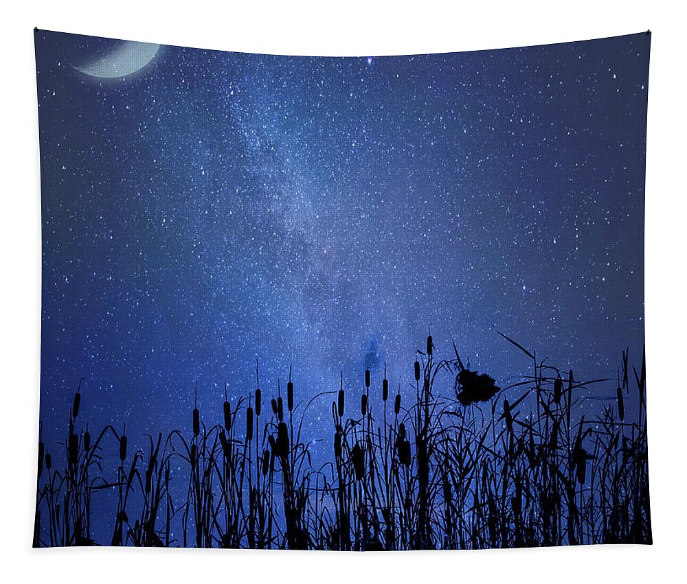 Night Tapestry featuring the photograph Silent Night by Cathy Kovarik