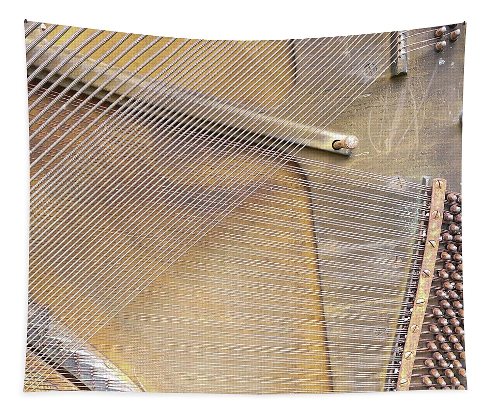 Piano Tapestry featuring the photograph Silent strings by Bentley Davis