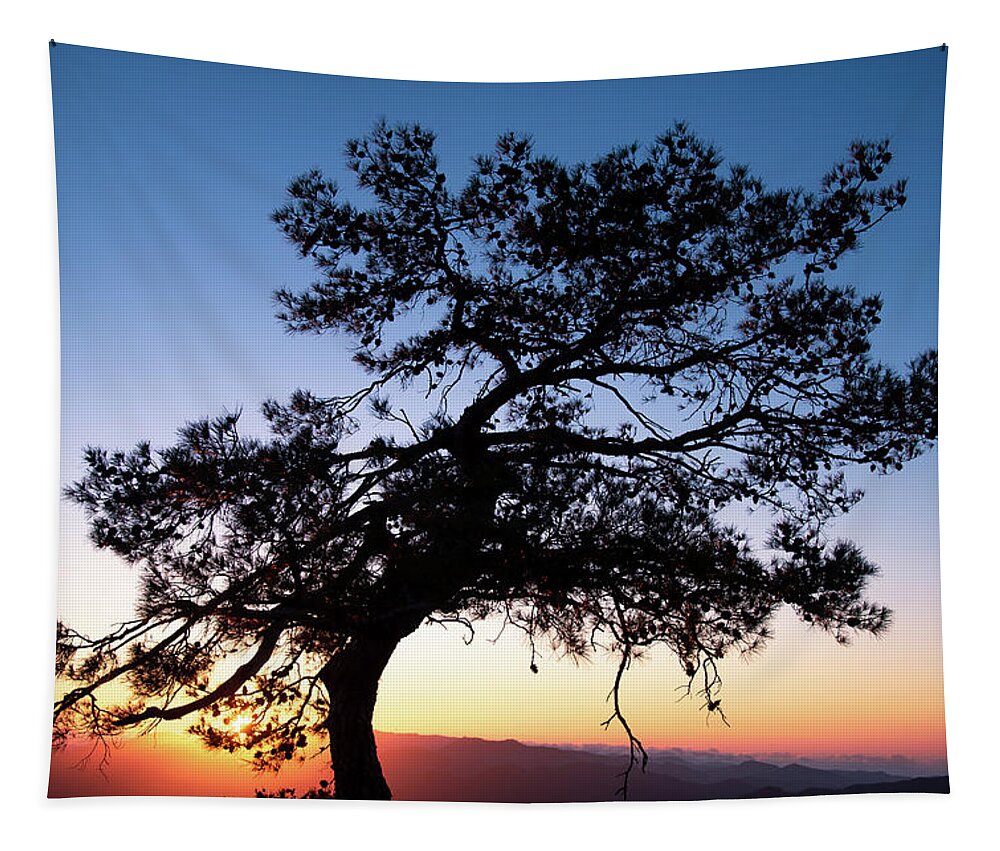 Cyprus Tapestry featuring the photograph Silhouette of a forest pine tree during blue hour with bright sun at sunset. by Michalakis Ppalis