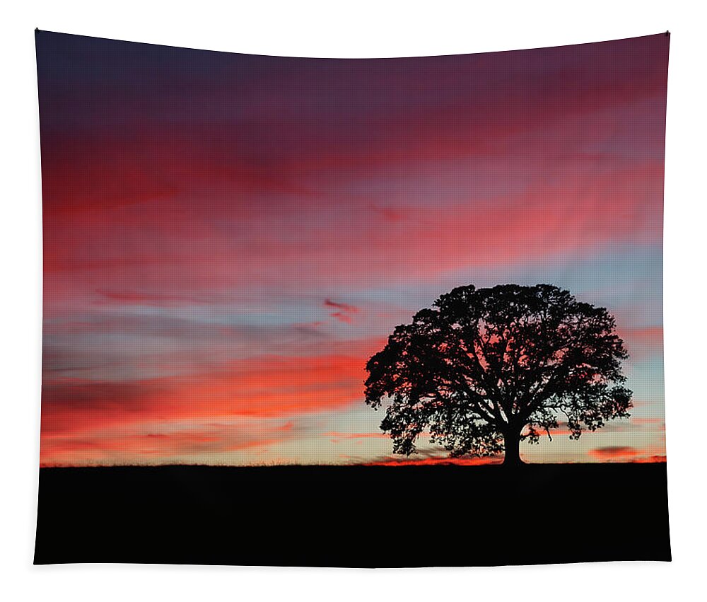 Silhouette Tapestry featuring the photograph Silhouette Sunset by Gary Geddes