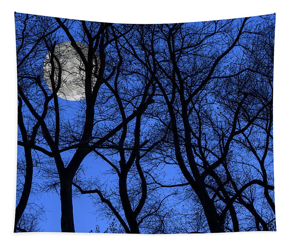 Poplar Tapestry featuring the photograph Silhouetted Trees at Full Moon by Arterra Picture Library