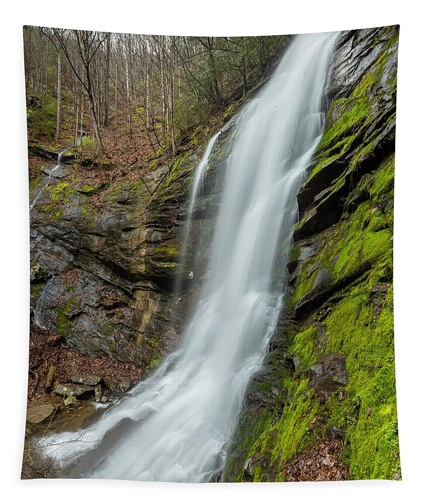 Sill Branch Falls Tapestry featuring the photograph Sill Branch Falls by Chris Berrier