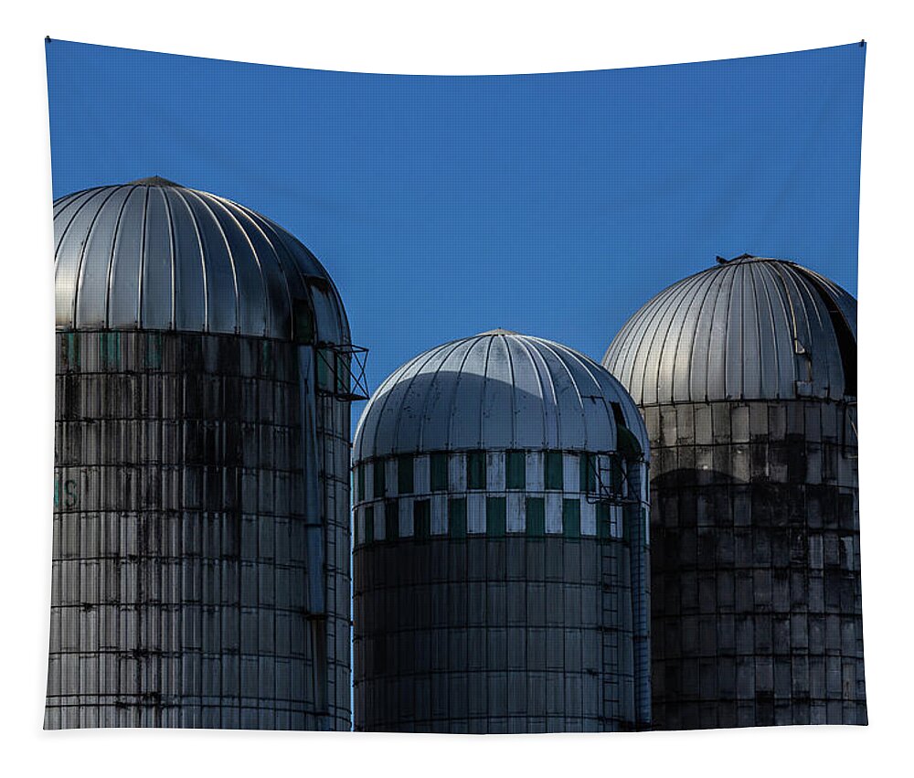 Museum Quality Tapestry featuring the photograph Silos in Iroquois by Bruce Davis