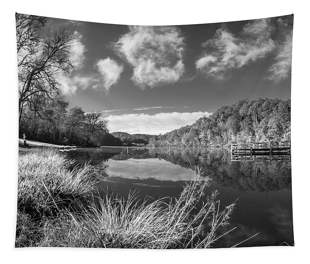 Carolina Tapestry featuring the photograph Silver Grasses at the Docks Black and White by Debra and Dave Vanderlaan