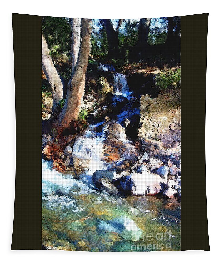 Silverado Canyon Tapestry featuring the photograph Silverado Canyon Small Fall by Brian Watt