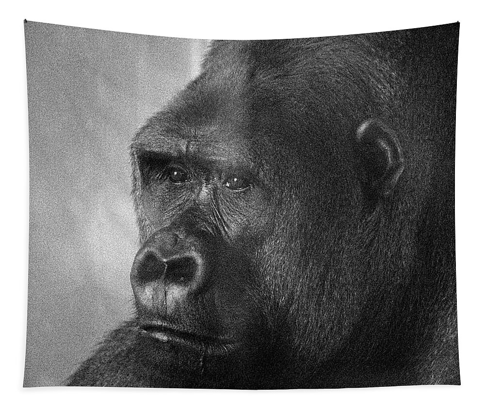 Ape Tapestry featuring the photograph Simiae by Jim Signorelli