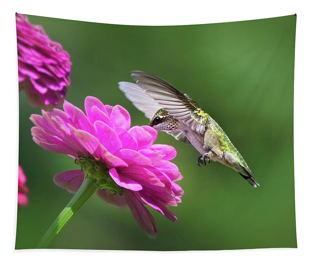 Hummingbird Tapestry featuring the photograph Simple Pleasure Hummingbird by Christina Rollo