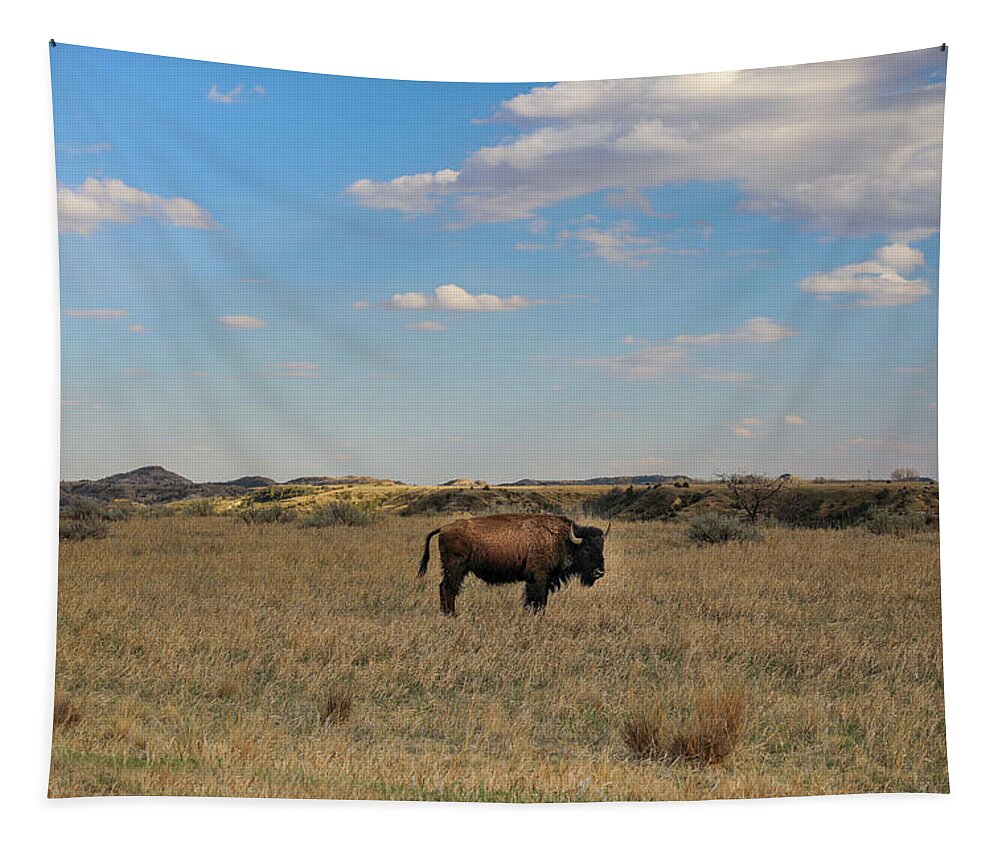 Lone Badlands Bison Tapestry featuring the photograph Single Bison In Open Landscape by Dan Sproul