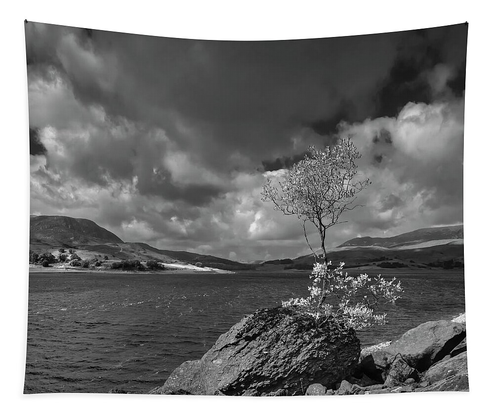 Landscape Tapestry featuring the photograph Lonely tree on the rock by Remigiusz MARCZAK