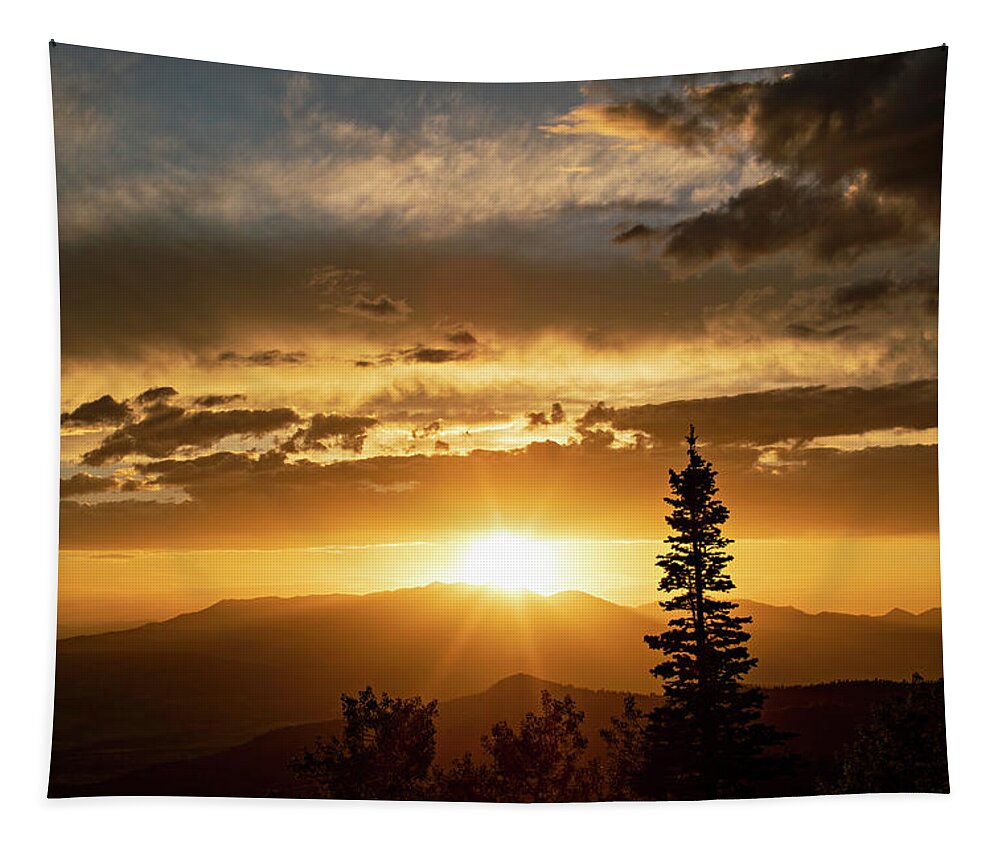 Sunset Tapestry featuring the photograph Single Tree Sunset by Wesley Aston