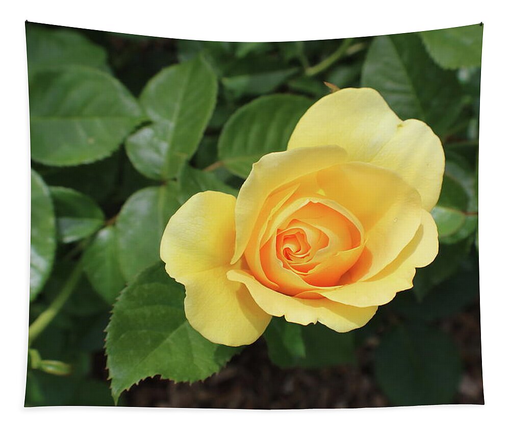Single Tapestry featuring the photograph Single Yellow Rose Bloom by Kathy Pope