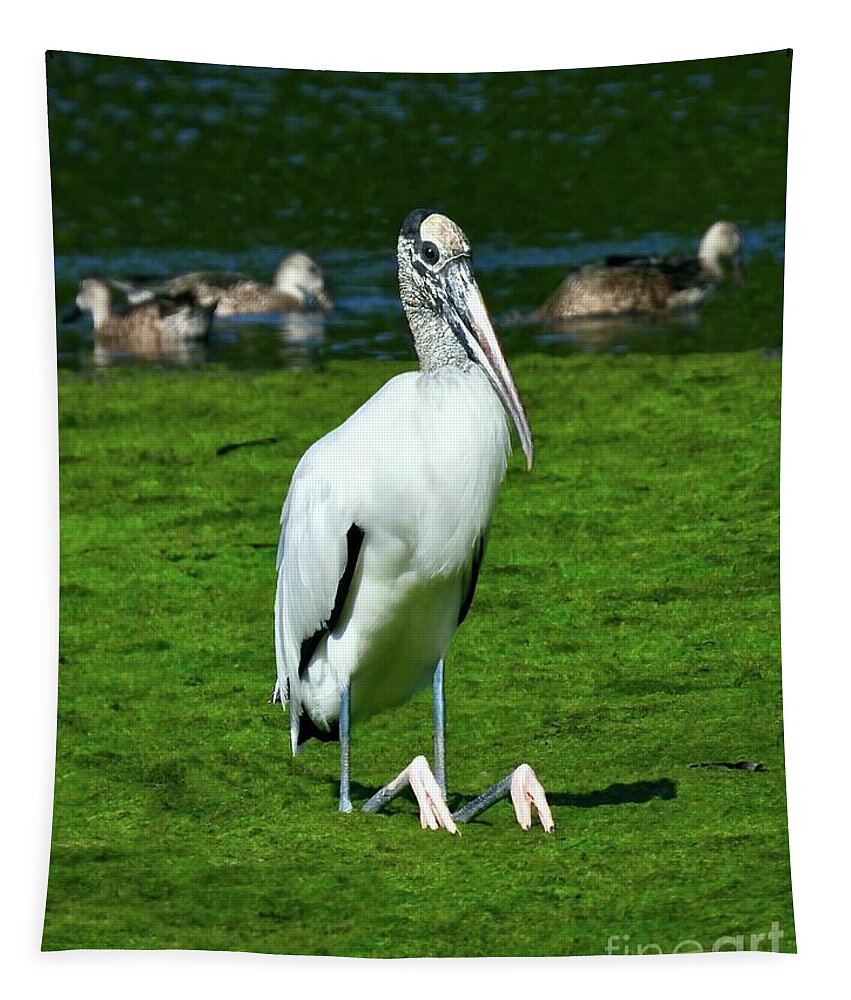 Wood Stork Tapestry featuring the photograph Sitting Stork - Vertical by Beth Myer Photography