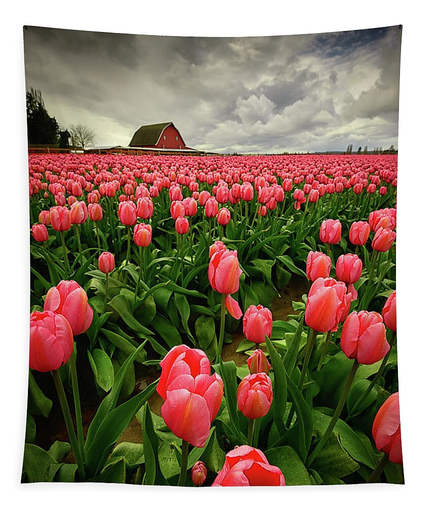 Skagit Valley Tulip Festival Tapestry featuring the photograph Skagit Valley Stormy Sky by Dan Mihai