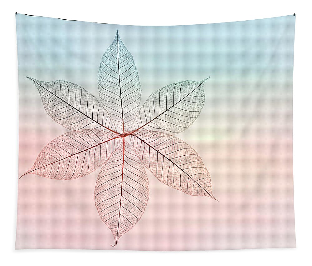 Skeleton Leaves Tapestry featuring the photograph Skeleton Leaves Floral Portrait by Sylvia Goldkranz