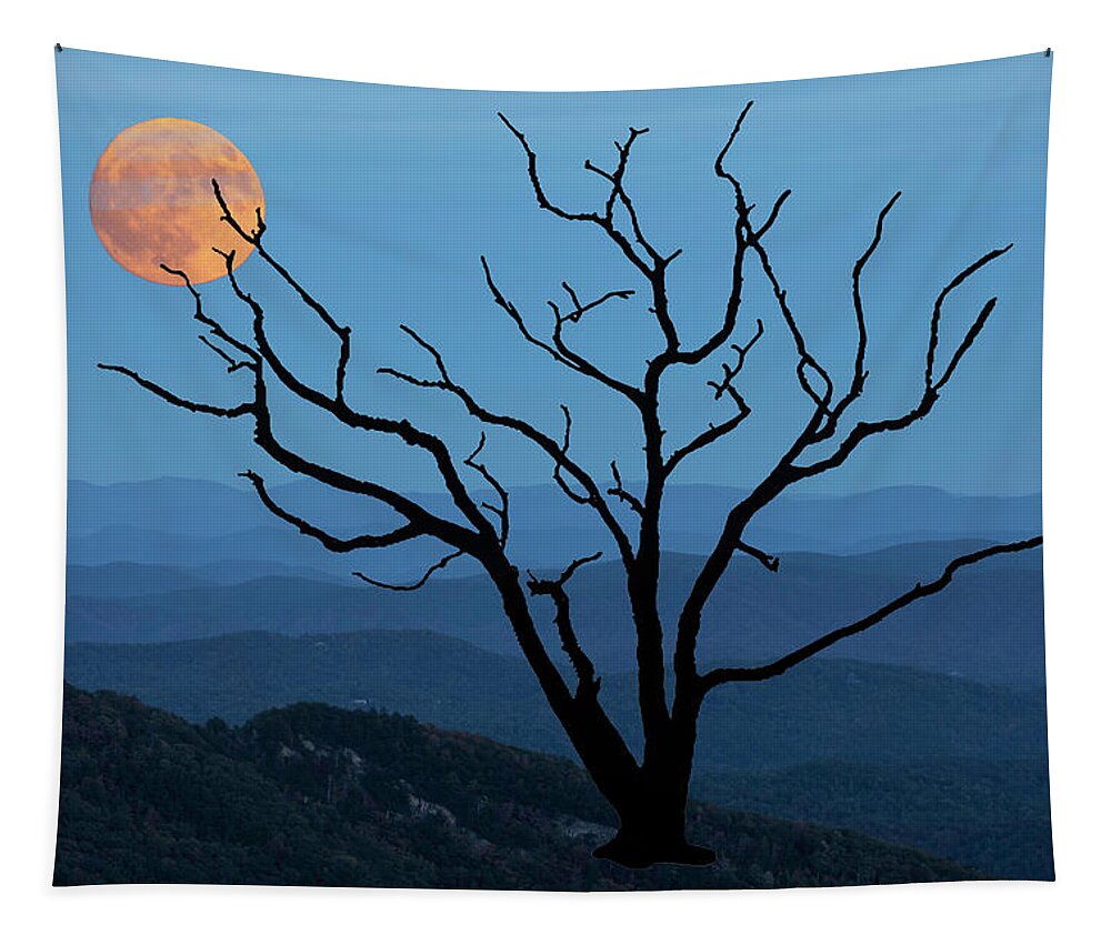 Skeleton Tree Tapestry featuring the photograph Skeleton Tree Moon 02 by Jim Dollar