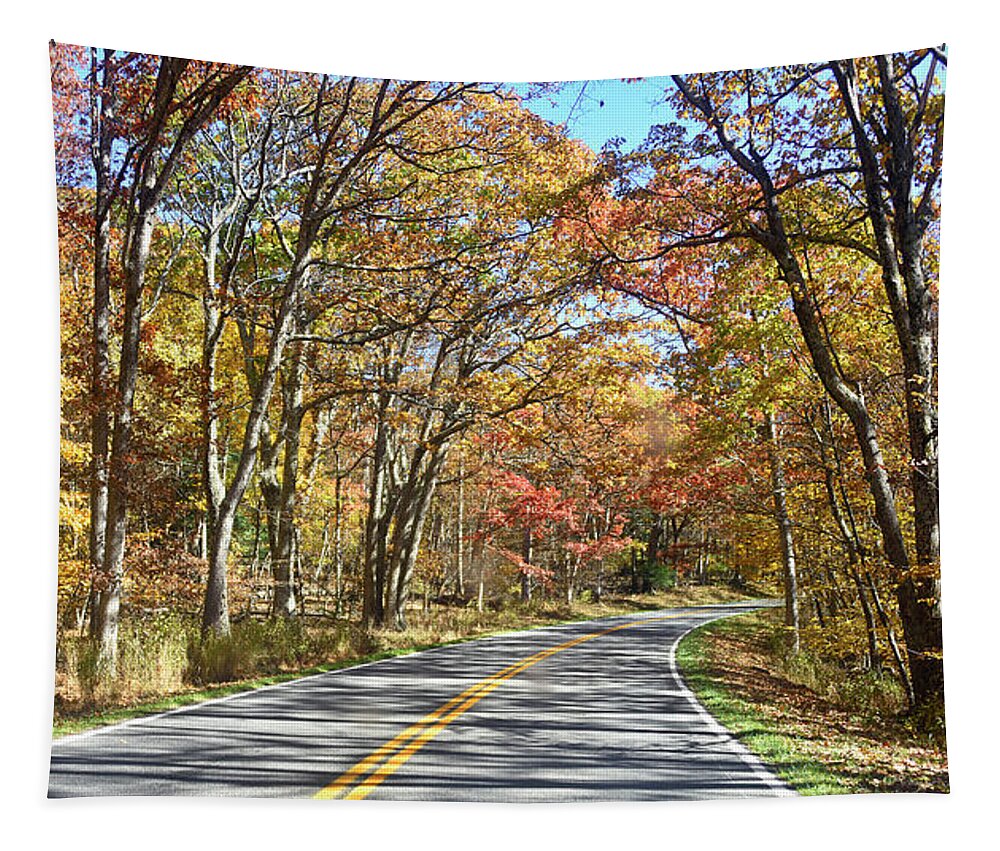 Skyline Drive Tapestry featuring the photograph Skyline Drive - Shenandoah Virginia by Brendan Reals