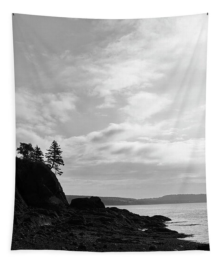 B&w Tapestry featuring the photograph Skyscape Partridge Beach-2 by Alan Norsworthy