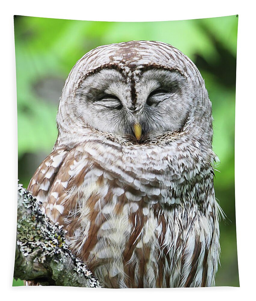 Barred Owl Tapestry featuring the photograph Sleeping Owl - Vertical by Peggy Collins
