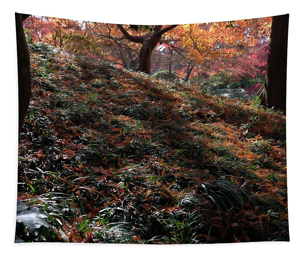 Autumn Tapestry featuring the photograph Slippery Slope by Ricardo J Ruiz de Porras