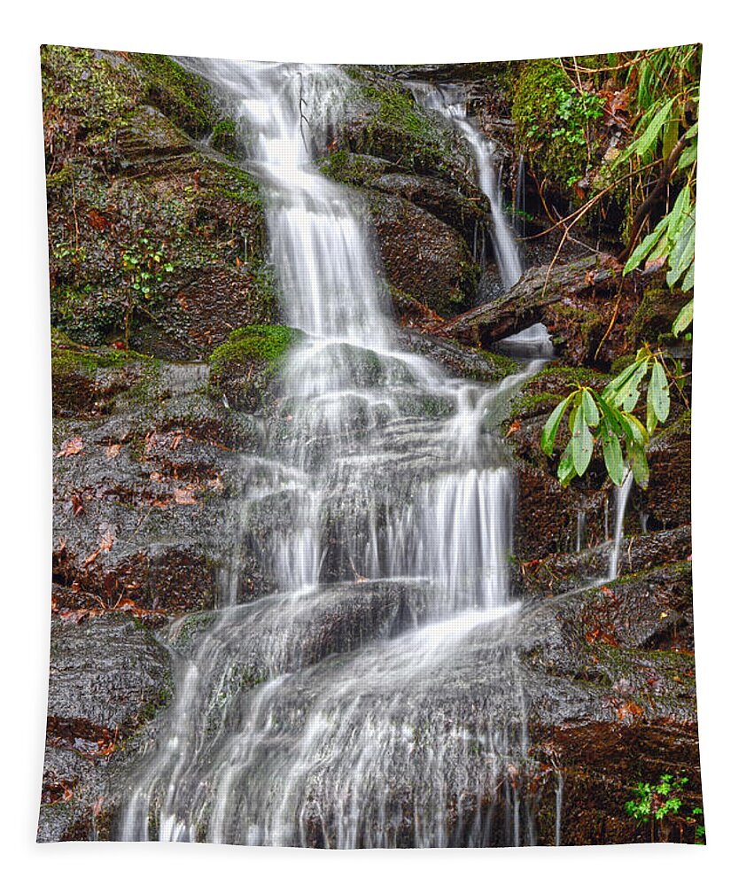 Waterfalls Tapestry featuring the photograph Small Waterfalls 4 by Phil Perkins