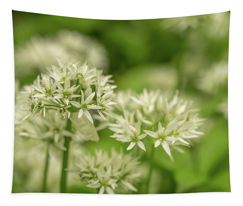 Wild Garlic Tapestry featuring the photograph Smell the garlic by Average Images