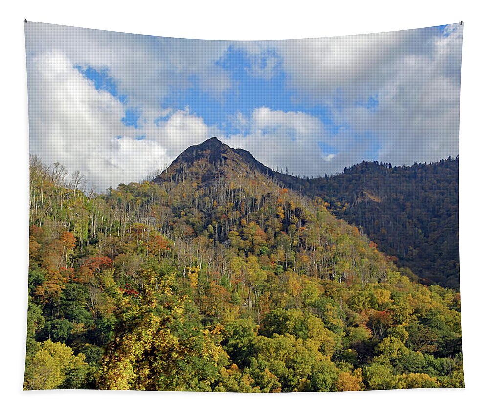 Tennessee Tapestry featuring the photograph Smoky Mountain Landscape by Jennifer Robin