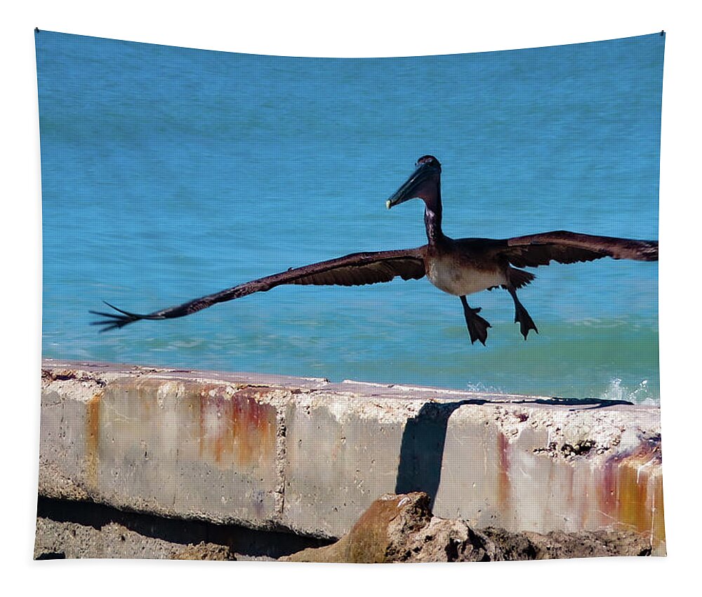 Pelican Tapestry featuring the photograph Smooth Landing by Vicky Edgerly