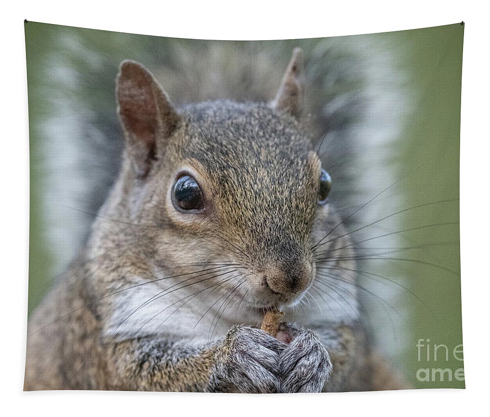 Eastern Gray Squirrel Tapestry featuring the photograph Snack by John Hartung  ArtThatSmiles com