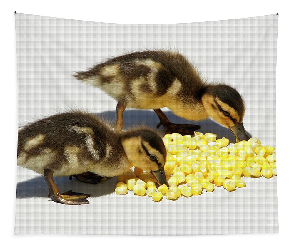 Duck Tapestry featuring the photograph Snack Time for Baby Ducks by Michele Burgess