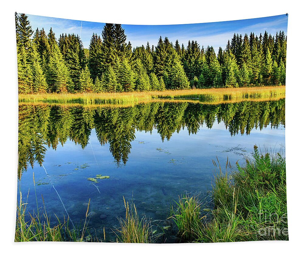  Tapestry featuring the photograph Snake River Reflections by Ben Graham