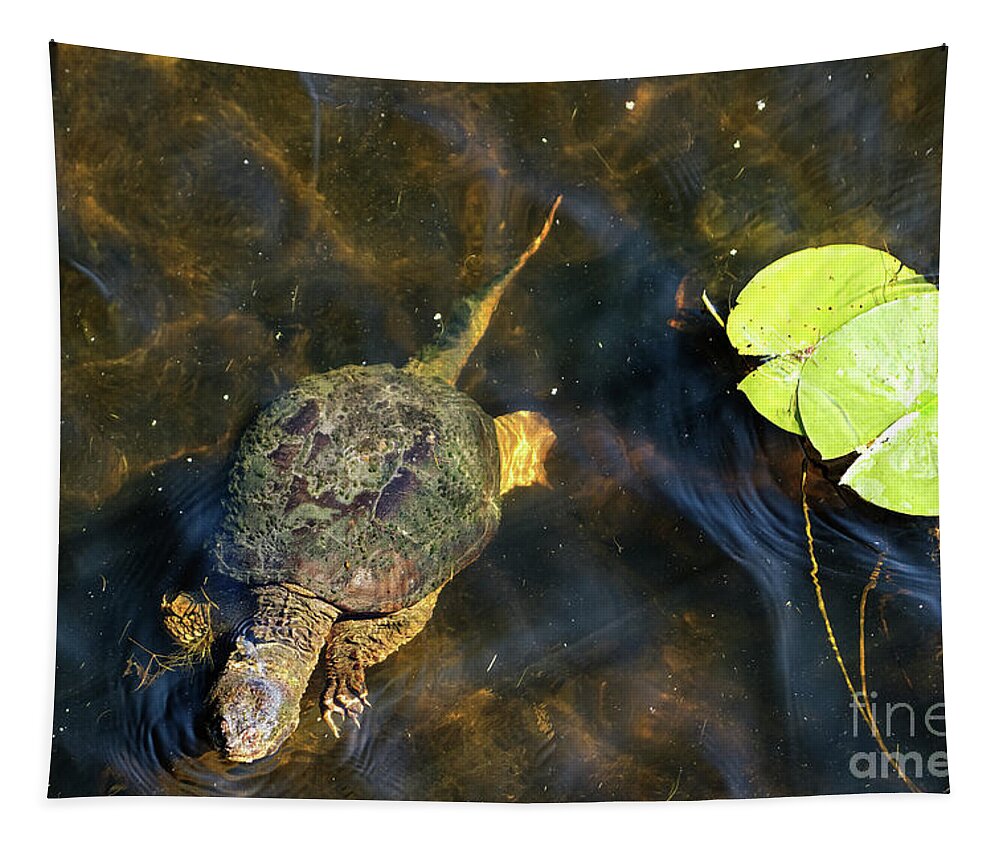 Snapping Turtle Tapestry featuring the photograph Snapper in the Minnesota River by Natural Focal Point Photography