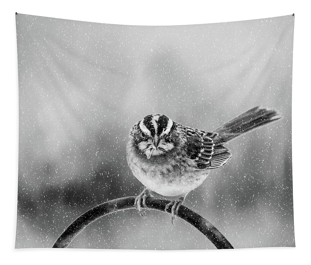 Bird Tapestry featuring the photograph Snow Again by Cathy Kovarik