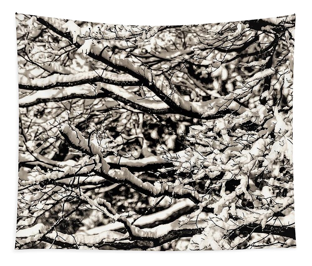 Snow Branch Tree B&w Tapestry featuring the photograph Snow Branch by John Linnemeyer