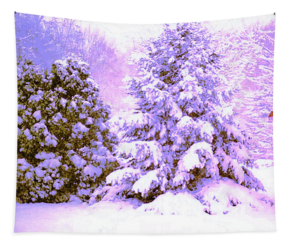Winter Tapestry featuring the photograph Snow by CHAZ Daugherty
