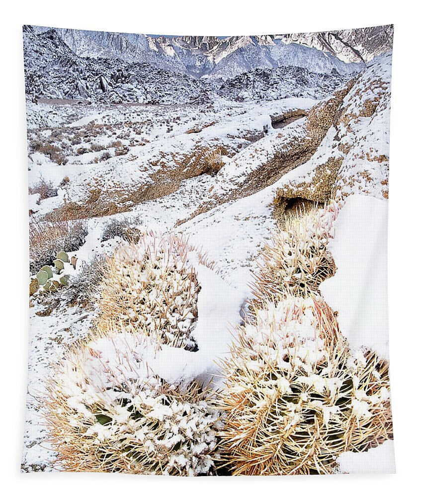North America Tapestry featuring the photograph Snow Covered Cactus Below Mount Whitney Eastern Sierras by Dave Welling