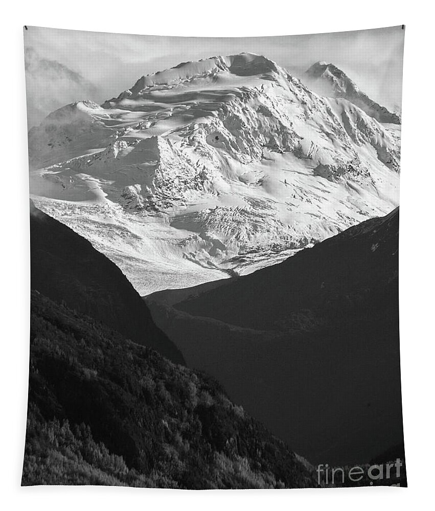 Mountain Tapestry featuring the photograph Snow Covered Mountain by Kimberly Blom-Roemer