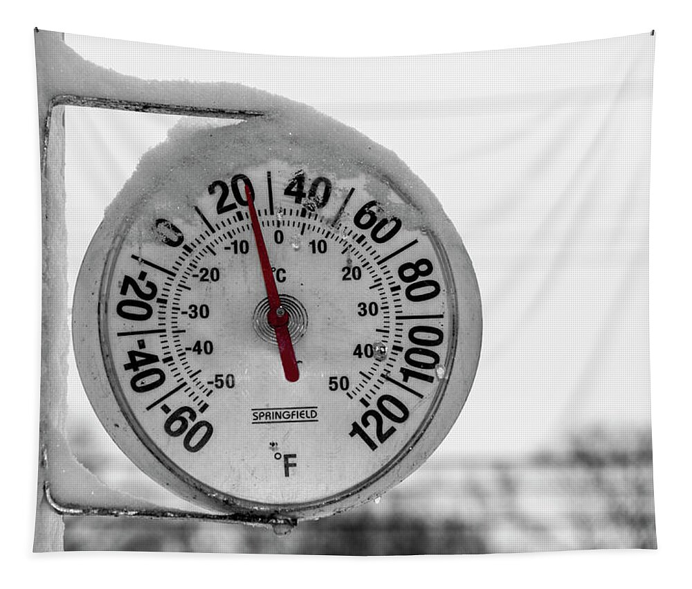Thermometer Tapestry featuring the photograph Snow Covered Thermometer by Cathy Kovarik