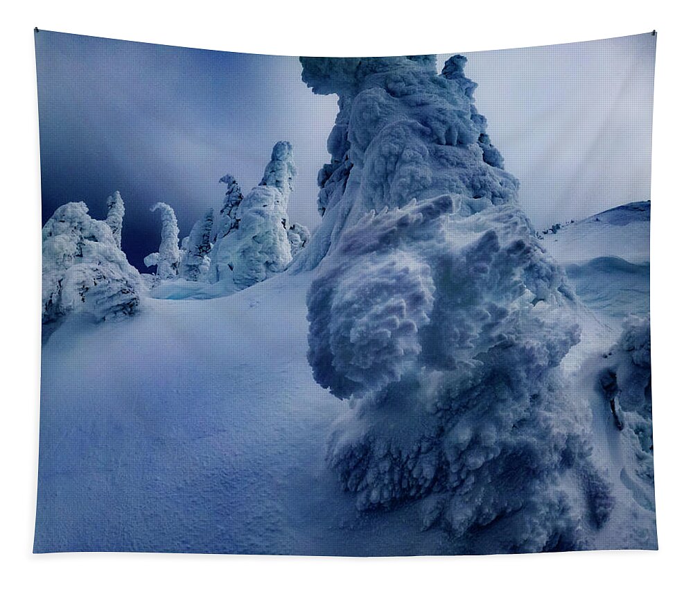 Tree Tapestry featuring the photograph Snow Covered Trees 5 by Pelo Blanco Photo