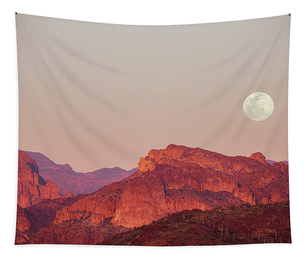 Art Tapestry featuring the photograph Snow Moon by Rick Furmanek