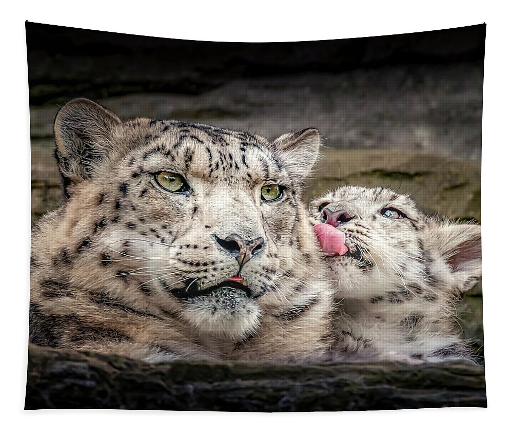 Snow Leopard Tapestry featuring the photograph SnowLeopardLove by Chris Boulton