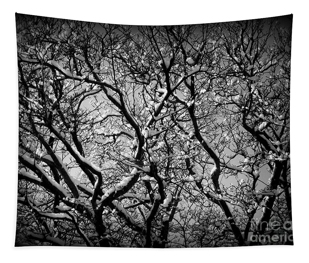 Landscape Photography Tapestry featuring the photograph Snowy Branches Interplay - Black and White by Frank J Casella