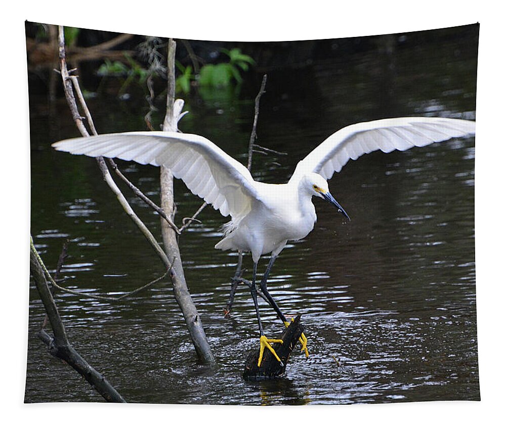 Egret Tapestry featuring the photograph Snowy Egret About to Land by Jerry Griffin