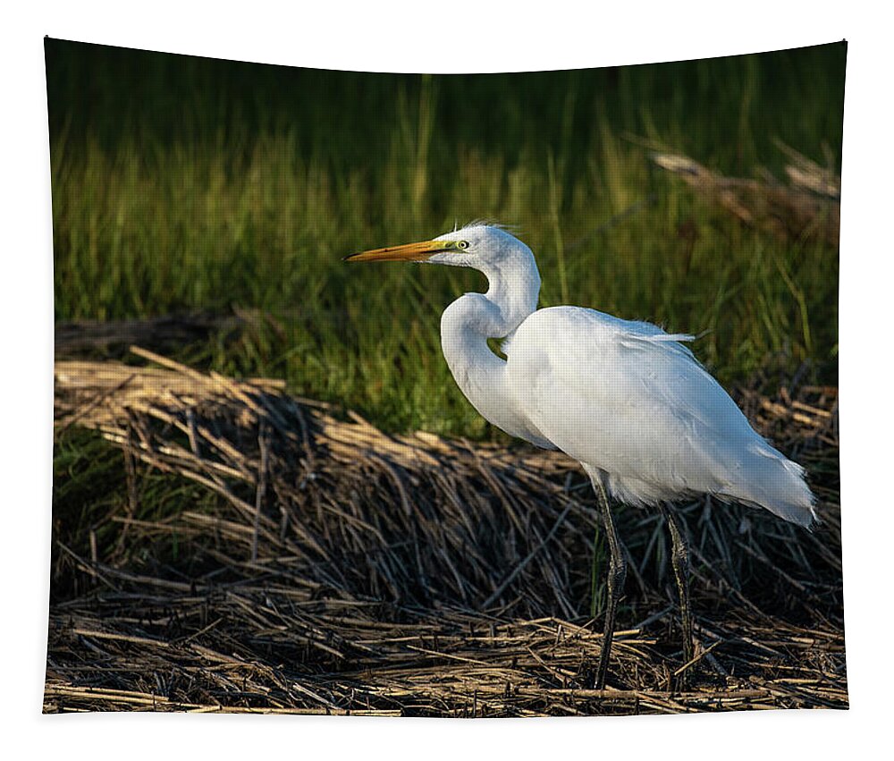 Snowy Egret Tapestry featuring the photograph Snowy Egret by Denise Kopko