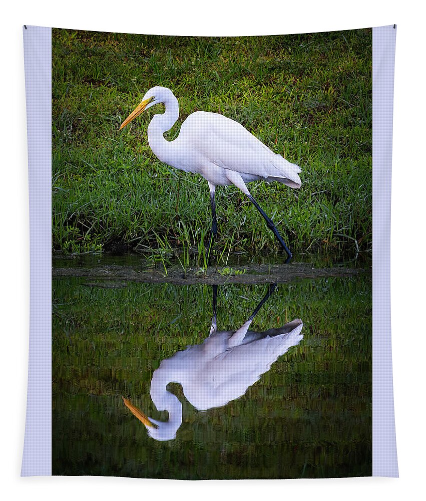 Birds Tapestry featuring the photograph Snowy Egret by Larry Marshall