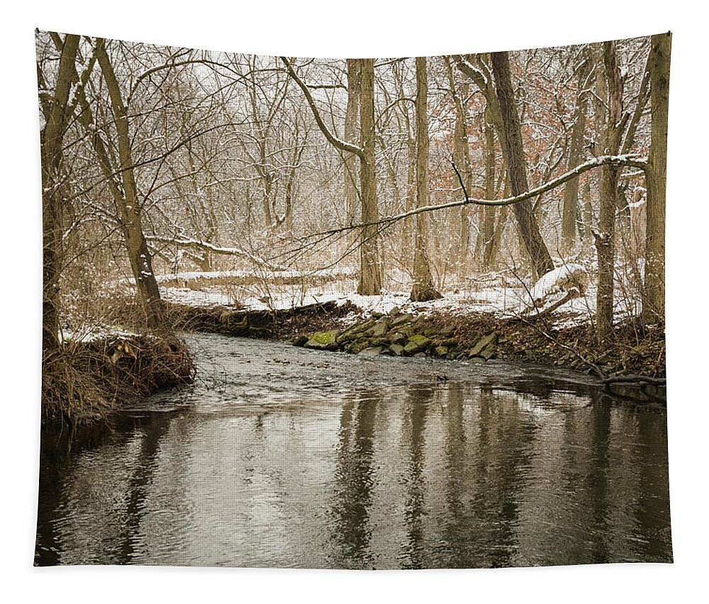 Blackwell Forest Preserve Tapestry featuring the photograph Snowy Midwest Stream by Joni Eskridge