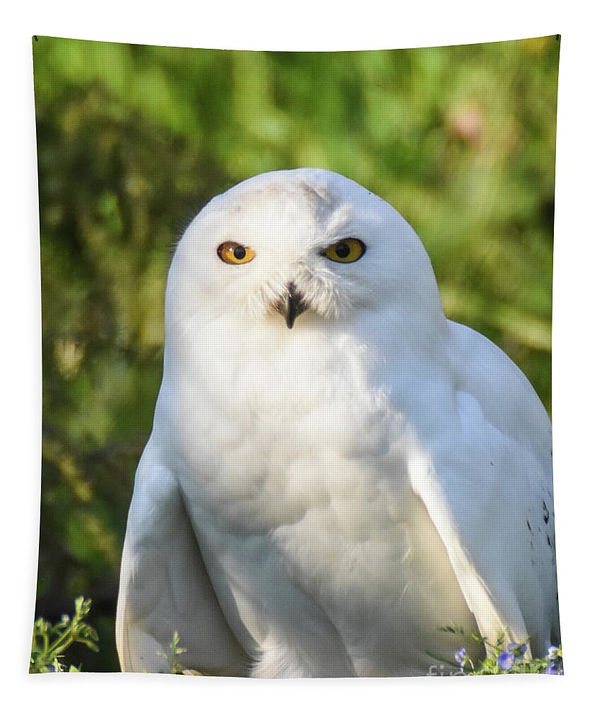 Bird Tapestry featuring the photograph Snowy Owl by Ed Stokes