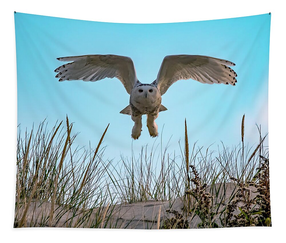 Owl Tapestry featuring the photograph Snowy Owl In Flight by Cathy Kovarik