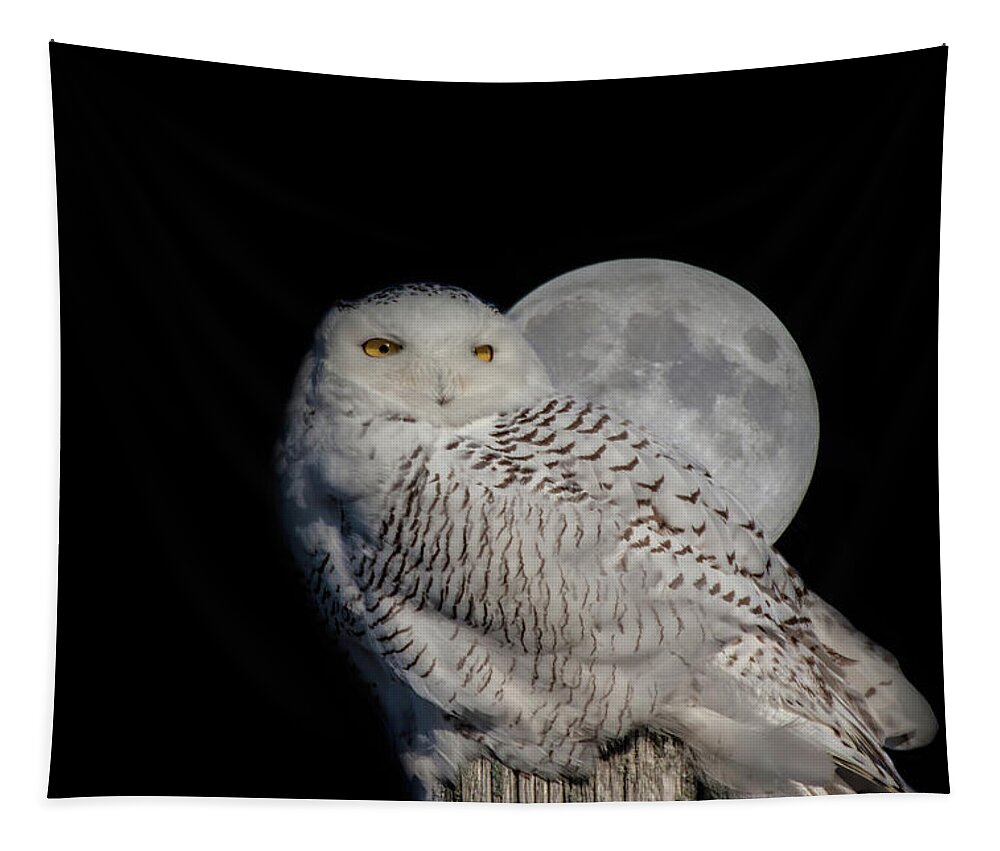 Animals Tapestry featuring the photograph Snowy Owl on the Moon by Jeff Folger
